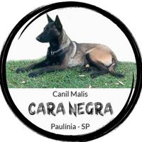 canilcaranegra