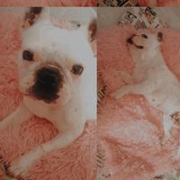 marialeonor.pt.oficial