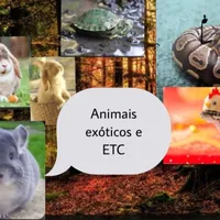 Userjosuecostame sequi aí