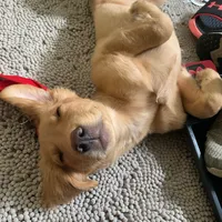 original sound - chumby0150