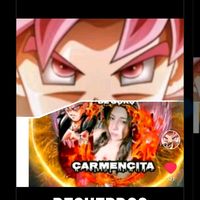 tupjefecitadetito.com