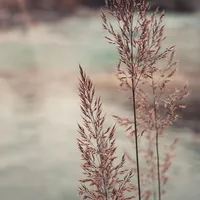 original sound - user47274776