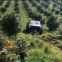 paulogogonzaleztesigue