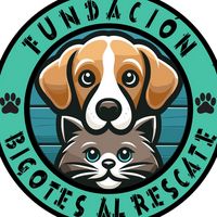 fundabigotesalrescate