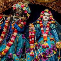 hsvasudeva821