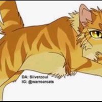 warriorcats0512