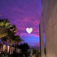 parati_019