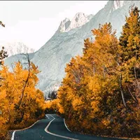 original sound - muskuyugsha