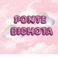 pontebichota_