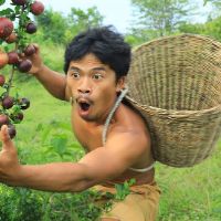life.in.jungle.nana
