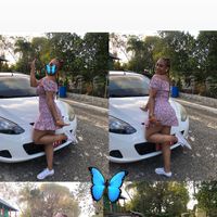 girasol_08