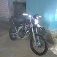 eldelakmf254