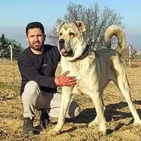 nazminin_aslanlari