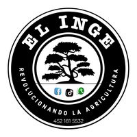 ingantoniogalvan
