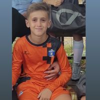 goalkeeper_ari