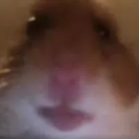 original sound - nrghamster13