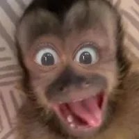 original sound - jhoannysdelosange8