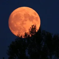 original sound - the_end_kendiwap