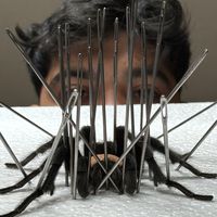 taxidermia_osteotecnia_