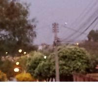 isaberti01
