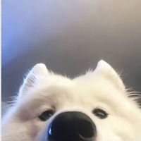 la_filledu96