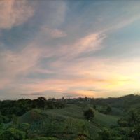 original sound - Vincent Compacion