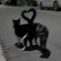 original sound - musica.comig