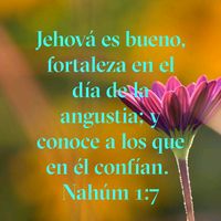 la_vida_es_una_poesia