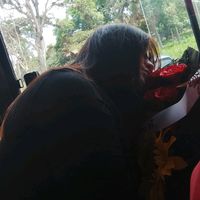 flores241
