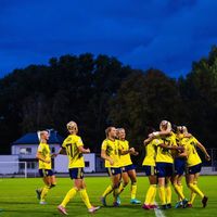 fp.swewnt.1