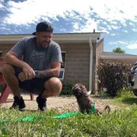 original sound - adoptingdogs.0995