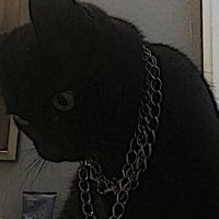 wttpxy