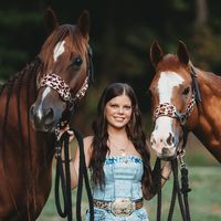 mlhperformancehorses