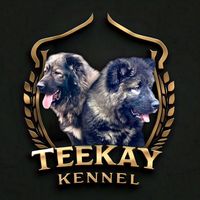 teekaykennel