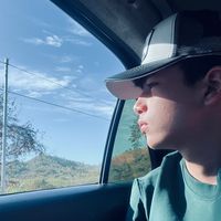 guarico31