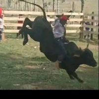 yasmirsozajarkin78002028