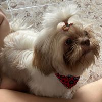 nallelyascanio