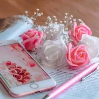 original sound - user9968322442903