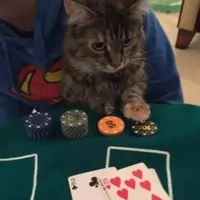 original sound - calmyoungthugs