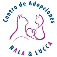 nalalucca.adopcio