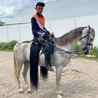 janielsonsilva055