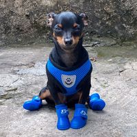 alefsilva3