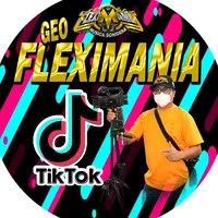 original sound - geo_fleximania
