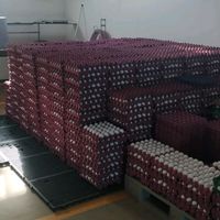 franciscojosesilv373