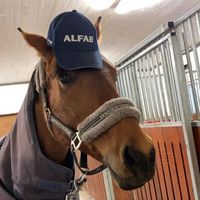 alice_maximus