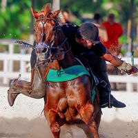 fabriciocrisostomo1106