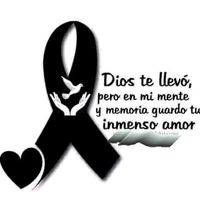 lasfrasesdevane