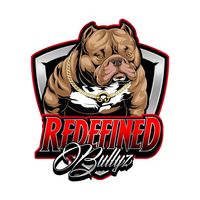 redefinedbullys
