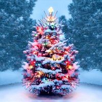 christmass..accounts