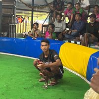 asanai_2549